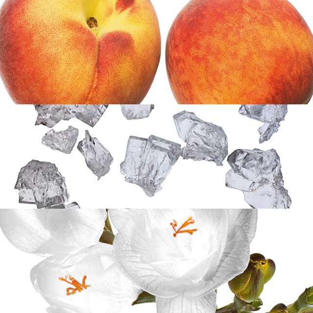 قیمت خرید مام زیر بغل اکلت فم ویکند - زنانه اوریفلیم