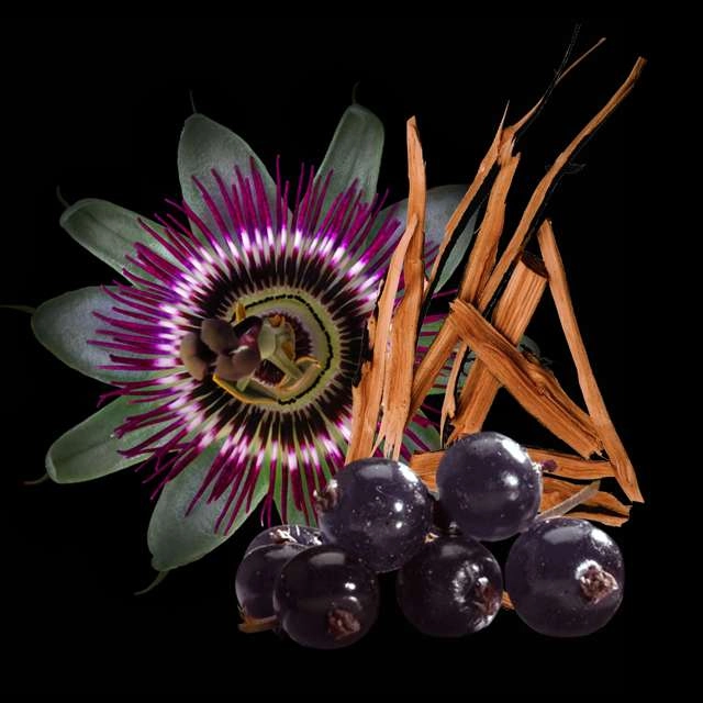 خرید عطر زنانه مگنتیستا