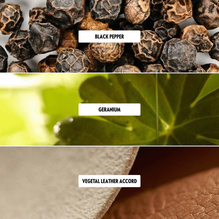 خرید اینترنتی عطر مردانه اکلت توژور اینتنس