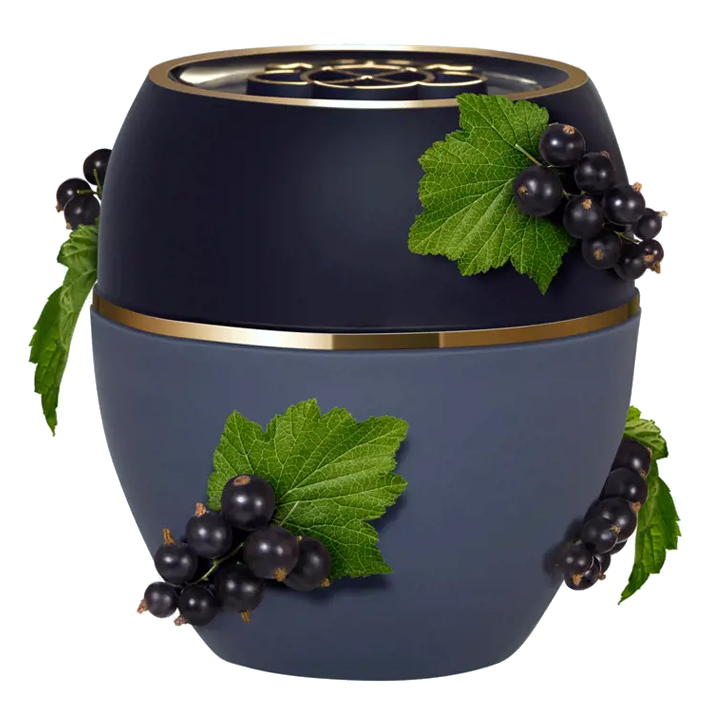 تندرکر همه کاره انگور فرنگی سیاه