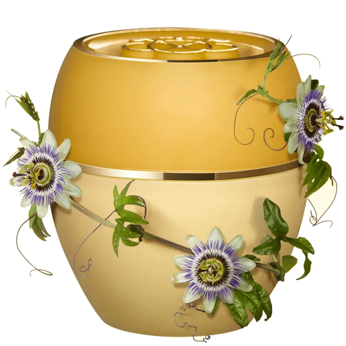 تندرکر گل ساعتی