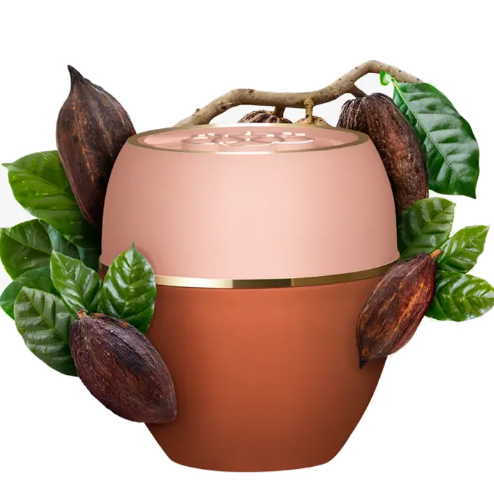 بالم تندرکر کره کاکائو