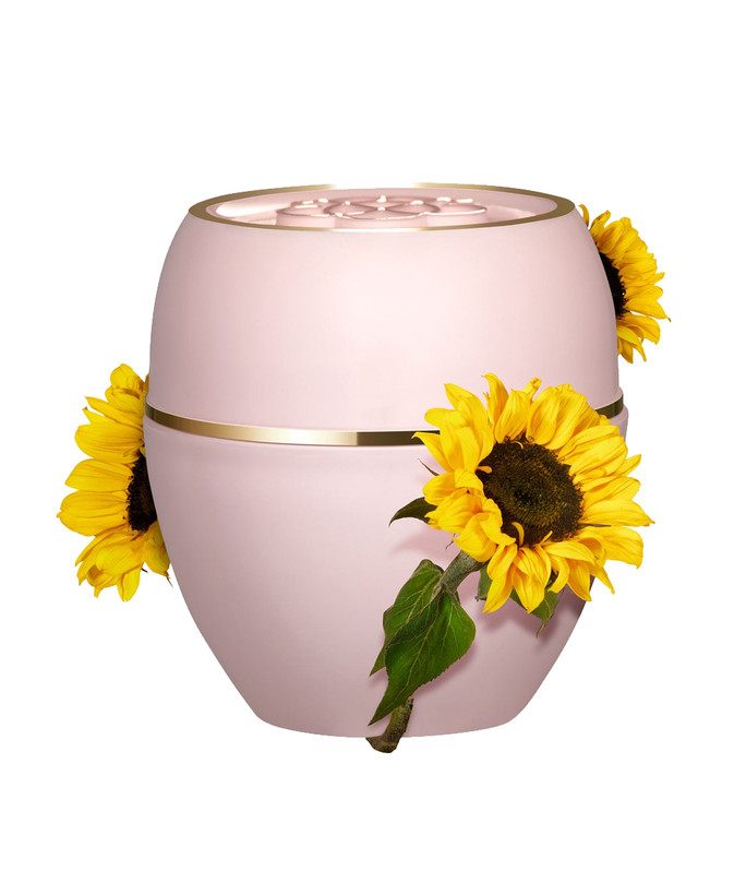 رفع کننده خشکی پوست آرنج ، جای زخم