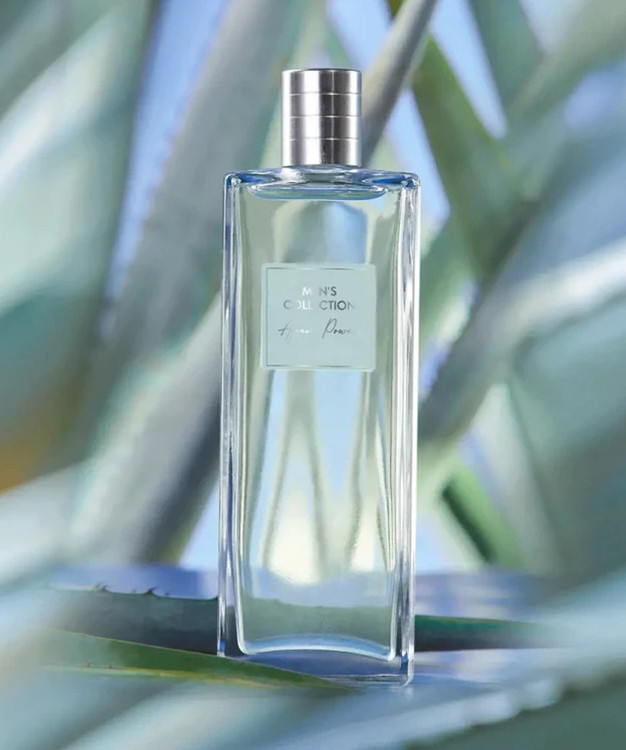 عطر مردانه آگاو پاور