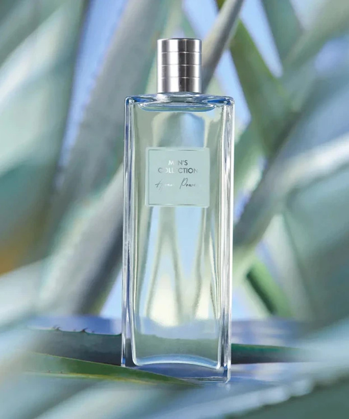 عطر مردانه آگاو پاور