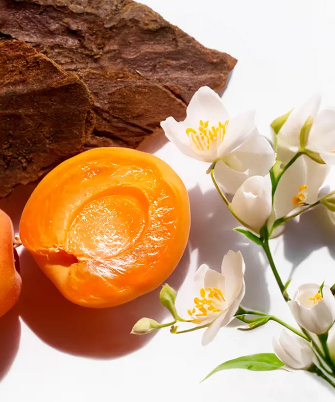 عطر با رایحه چوب صندل، وانیل و مشک اینفنیتا یو